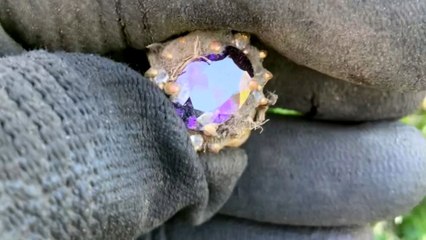 Man uncovers a 'Gold Ring' while metal detecting in the field