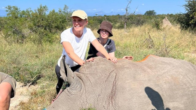 Meet the vet dehorning rhinos to fight the poaching crisis