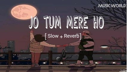 Jo tum mere hoo || slow+reverb