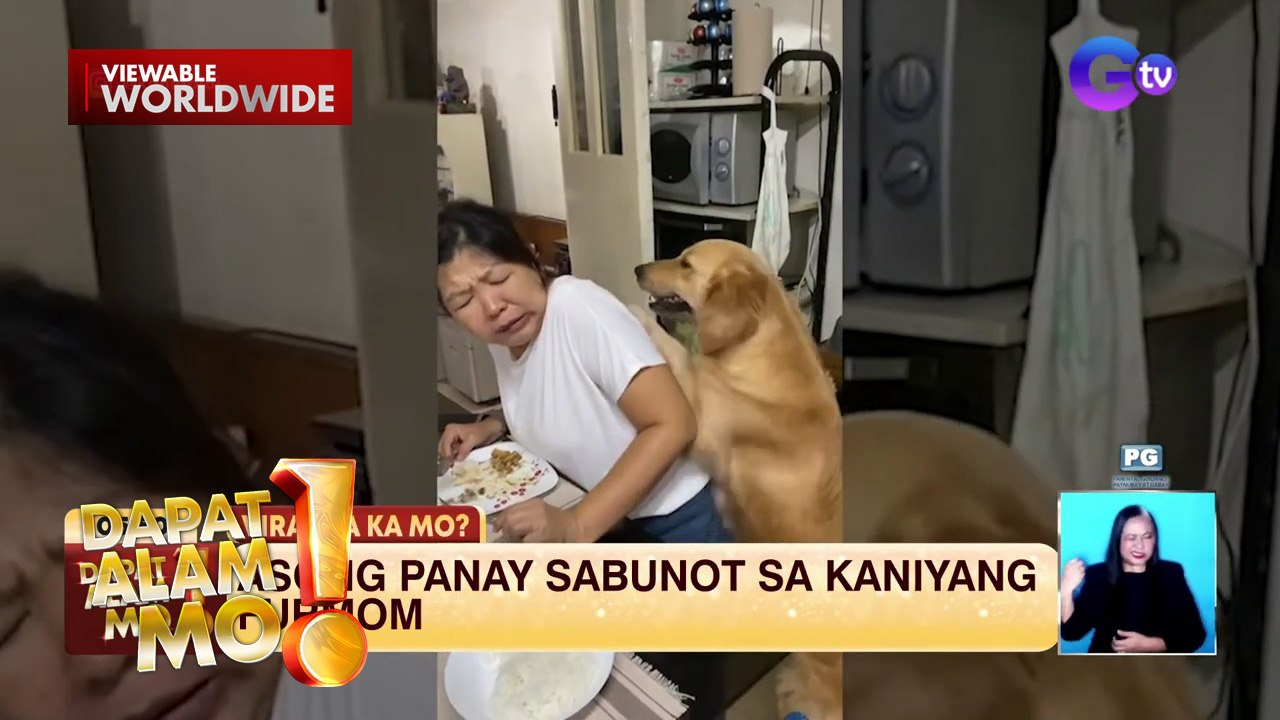 Aso, hilig kunin ang manali ng kanyang amo | Dapat Alam Mo!