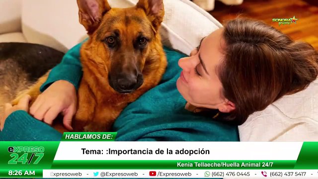 ¿Cuál es la importancia de adoptar?
