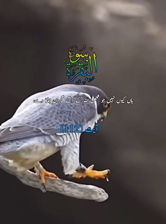 "Quran Verses on Patience and Strength"   3. "1 Minute Quran Recitation - Soothing & Calming"