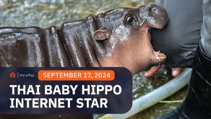 Thai baby hippo internet star draws thousands to her zoo