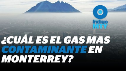 Contaminación por dióxido de nitrógeno | Reporte Indigo