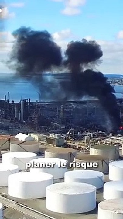 Comment survivre à une épidémie zombie ‍♂️