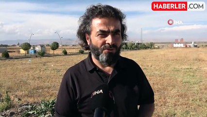 Muş'ta Zehirli Argiope Lobata Örümceği Tespit Edildi