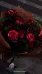  Unique Rose _Only For Rose Lover_s (◕ᴗ◕)