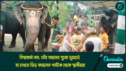 বিশ্বকর্মা নন, তাঁর বাহনের পুজো ডুয়ার্সে! যা দেখতে ভিড় করলেন পর্যটক থেকে স্থানীয়রা