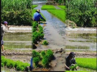 Glimpse of village life in Iran