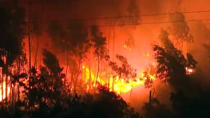Los incendios en Portugal dejan siete muertos, según un nuevo balance