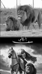 Hear the Lion’s Call Ali’s Name Roared Loud and Clear