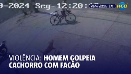 Homem Agride Cachorro com Facão em Uberlândia 🐶⚠️