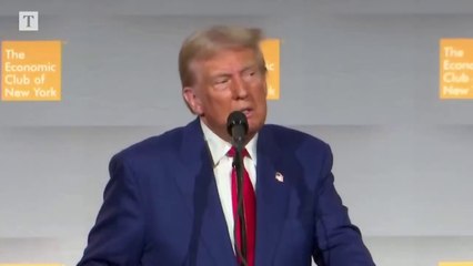 Donald Trump to appoint Elon Musk head of 'efficiency commission'