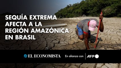 Sequía extrema afecta a la región amazónica en Brasil