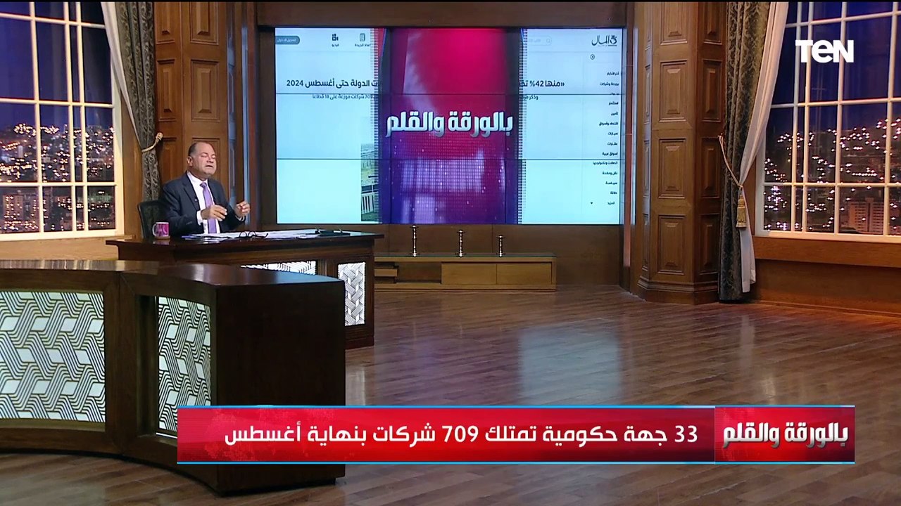 40 % شركات خاسرة من 709 شركة للدولة.. الديهي منفعلا": 280 شركة خسرانة والسكوت عليها غير مقبول