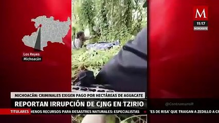 CJNG irrumpe en Díaz Ordaz, Michoacán: reportan extorsión en zona aguacatera