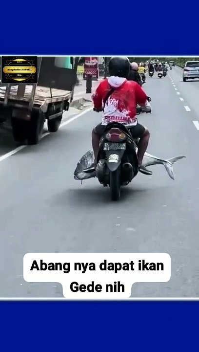 Dapat ikan besar