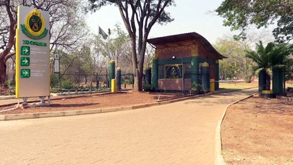 Zimbábue vai sacrificar 200 elefantes para enfrentar escassez de alimentos