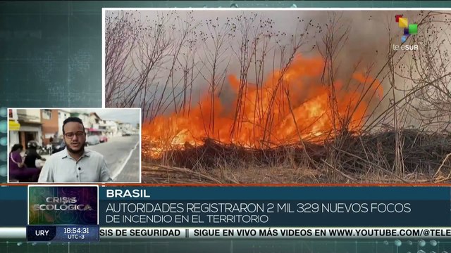 Autoridades brasileñas solicitaron apoyo por incendios que afectan a ese país