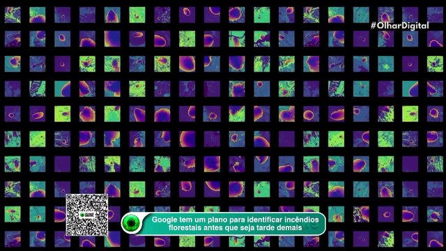 Google tem um plano para identificar incêndios florestais antes que seja tarde demais