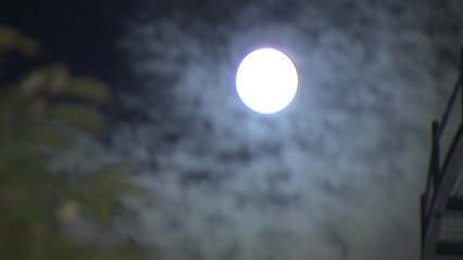 열대야 속 한가위...두둥실 '슈퍼문'에 달맞이 인파 '북적' / YTN