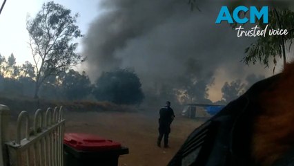 Mount Isa police rescue dogs during industrial fire