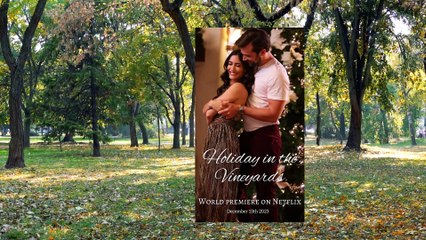 Holiday In The Vineyards Ending Explained