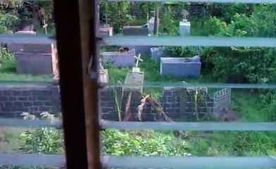 Dalaw | Sub Indo: Kisah Cinta Setelah Kehilangan 💔