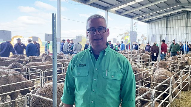 A day in the life of a Nutrien stud stock agent | Stock Journal