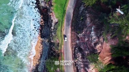 Discover Exclusive Norfolk Island Holiday Packages with Spacifica Travel! ✈️