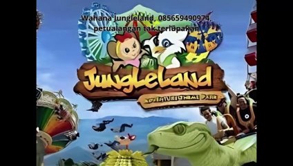 Wahana Jungleland, 085659490974, petualangan tak terlupakan