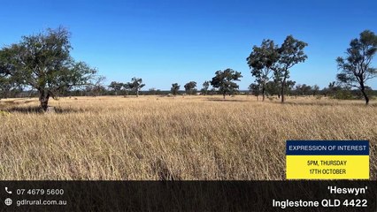 Heswyn, Inglestone, Qld | September 18, 2024 | Farmonline