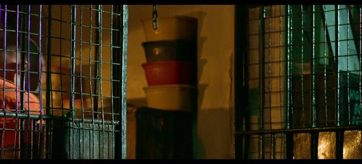 Day Zero | Sub Indo: Masyarakat Hancur oleh Wabah Zombie 🧟‍♂️