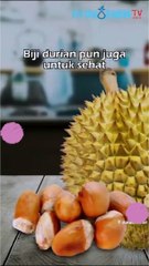 Khasiat Biji Durian