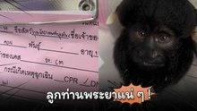 ชื่อคนไข้ยาวขนาดนี้ คุณวิรุณจักราเทพท้าวสุครีพ ไวรัลเอ็นดูการตั้งชื่อน้องลิง