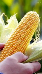 Many Benefits Of Sweet Corn