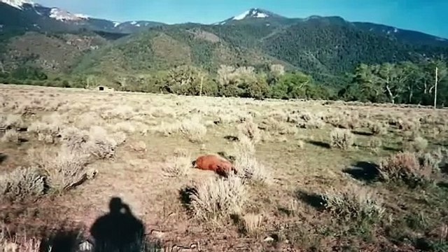 Révélations Paranormales La Montagne des extraterrestres !!!!!!!!!!