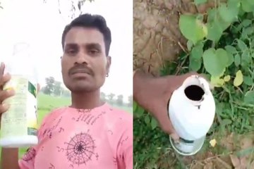 Tải video: Live video of Suicide: तुम्हारी गोद पर सिर रखकर मरना चाहता हूं.... पति ने कीटनाशक पीकर की ख़ुदकुशी, छाया मातम