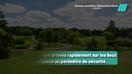 Jambe Sectionnée et Corps Décomposé Retrouvés à Aulnay-sous-Bois