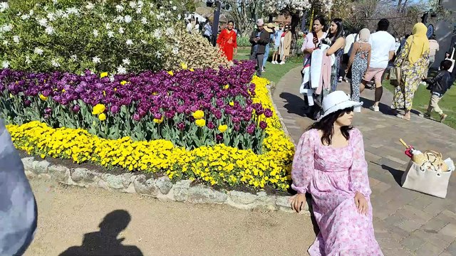 Tulips Flowers Festival NSW Australia