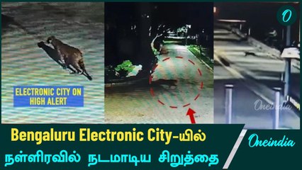 Bengaluru Electronic City-யில்  நள்ளிரவில் நடமாடிய சிறுத்தை