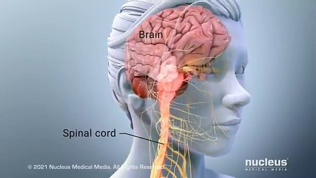 Drug Addiction_ How Opioids Like Fentanyl Work