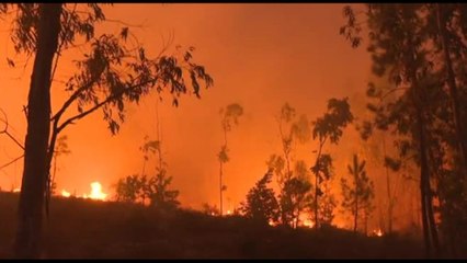 Incendi in Portogallo, la foresta in fiamme che circonda Veiga