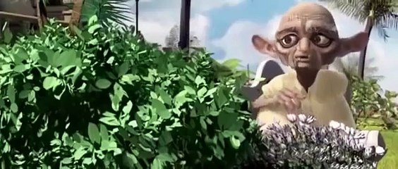 New Animation Movies 2019 Full Movies English   Kids movies   Comedy Movies   Ca