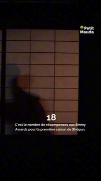 Une 76ᵉ édition qui bat des records ! ✨ Dimanche 15 a eu lieu la cérémonie des Emmy Awards ! Ce sont les récompenses les plus prestigieuses décernées aux meilleures performances à la télévision et dans les médias émergents. 18 récompenses pour la