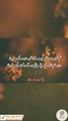 Main Ne Ussy Chor Diya ... Urdu poetry shayari states