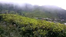 pemandangan puncak bukit