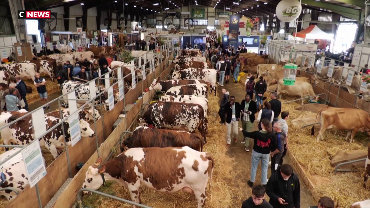 Les agriculteurs, toujours dans l'attente, se s...