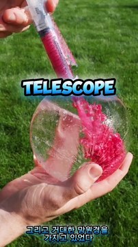 Random Curiosities You Didn t Know (Korean subtitle)