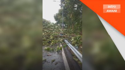 Pokok tumbang, pengguna PLUS terperangkap di R&R Gurun